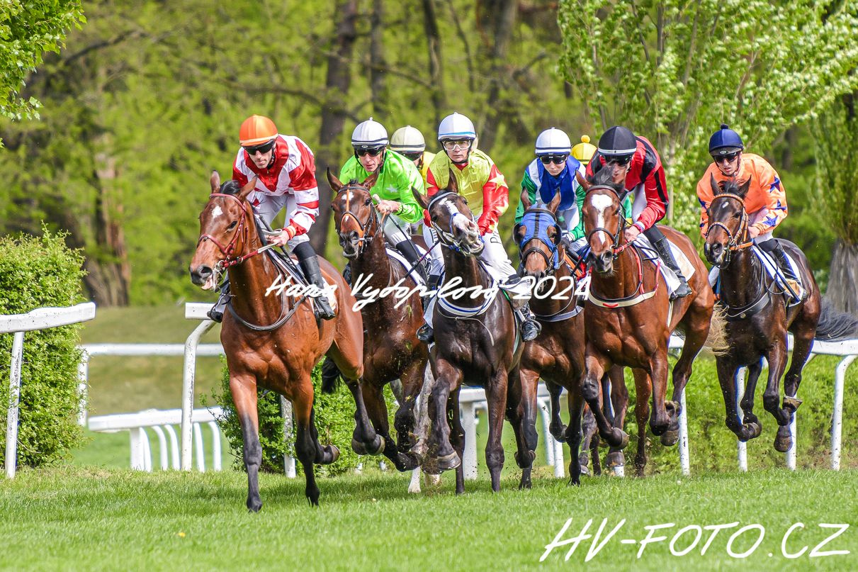 hv_24-04-14_033.jpg