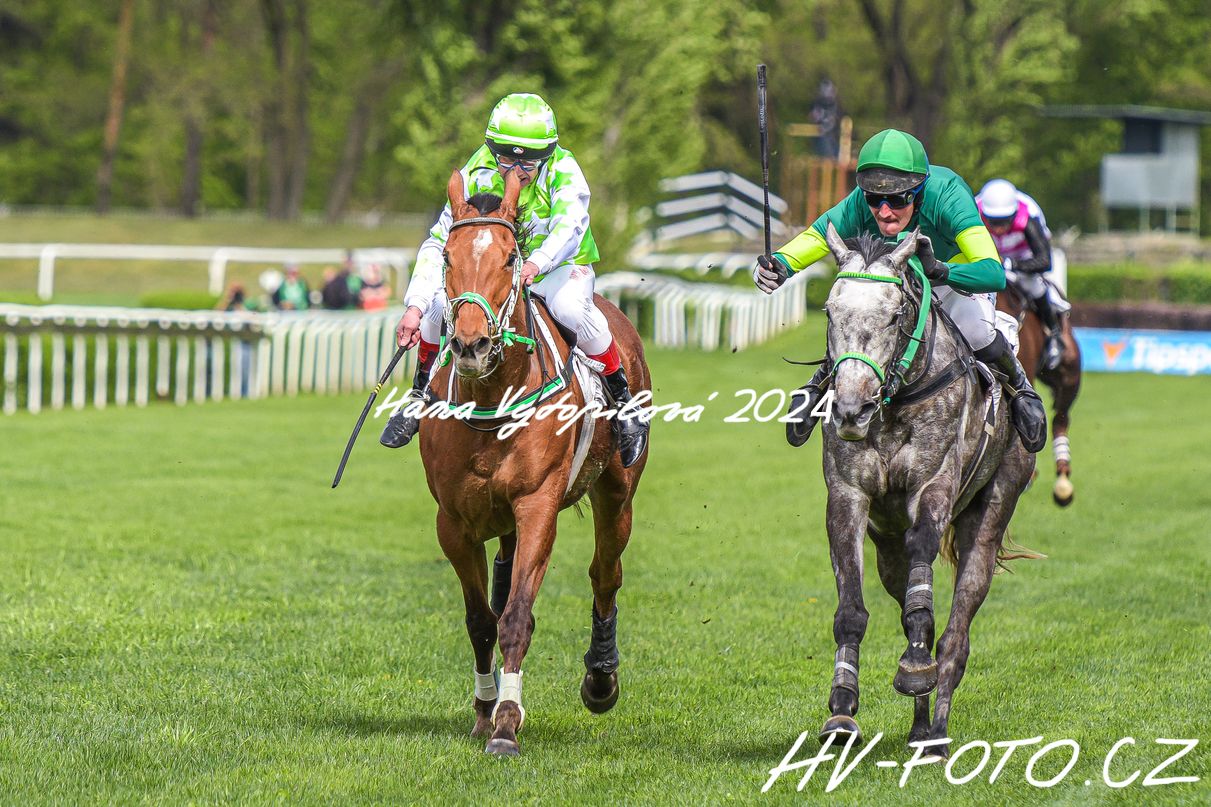 hv_24-04-14_066.jpg