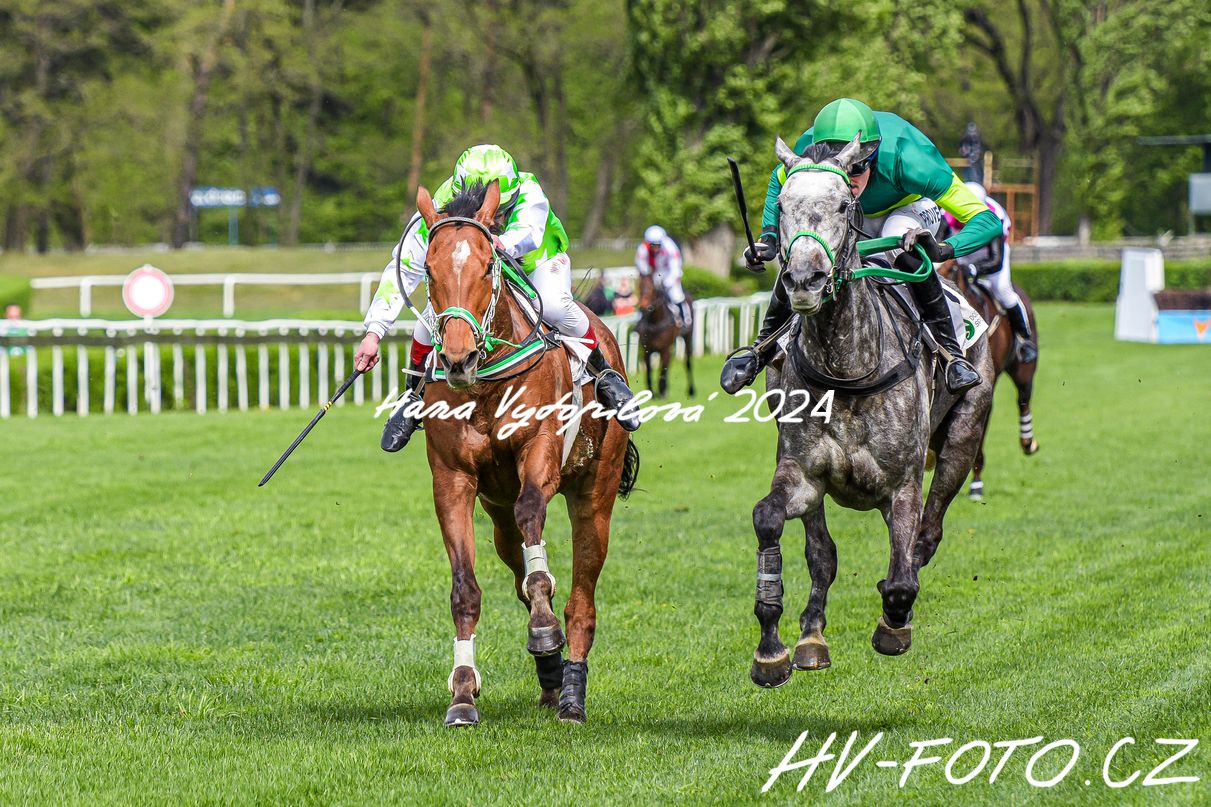 hv_24-04-14_067.jpg
