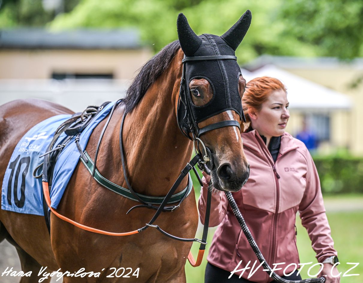 hv_24-05-19_004.jpg