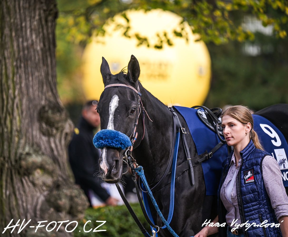 hv_24-10-20_051.jpg
