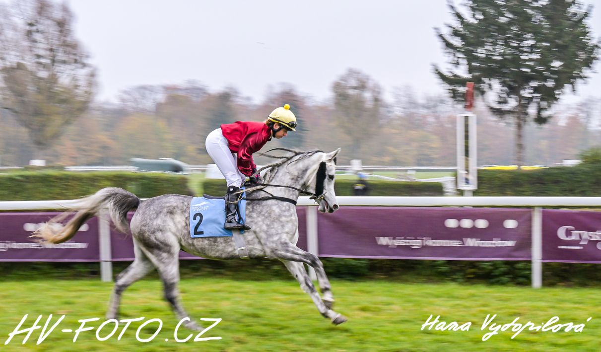 hv_24-11-11_051.jpg