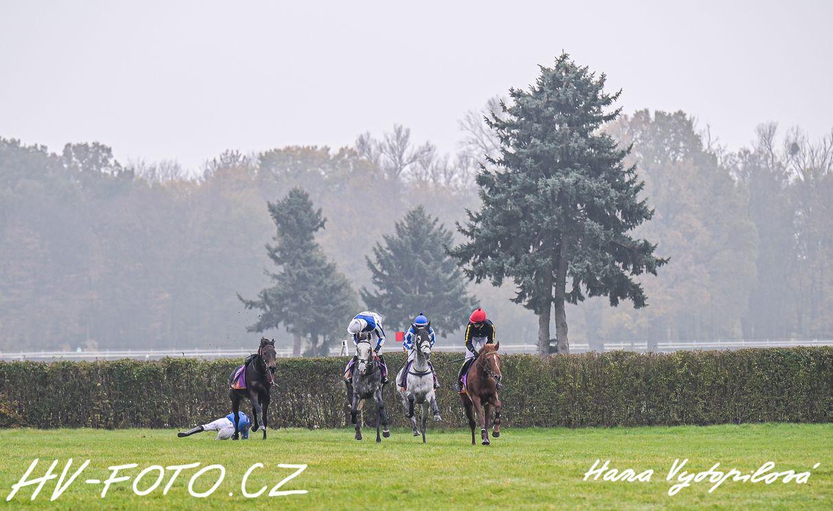 hv_24-11-11_063.jpg