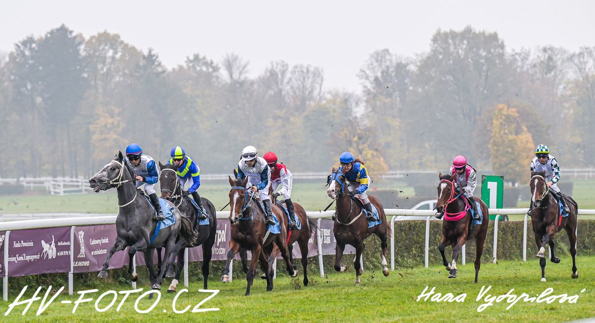 hv_24-11-11_070.jpg