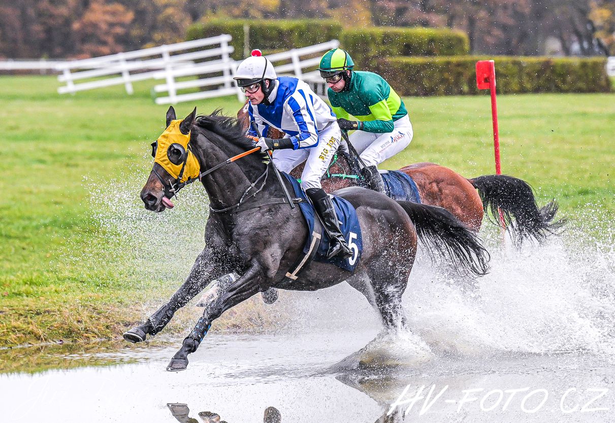 j2_56.jpg